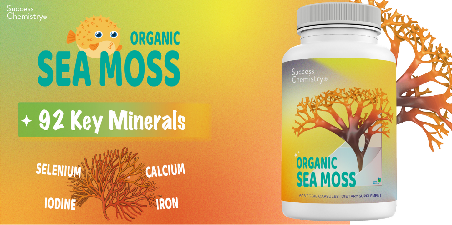 Organic Irish Sea Moss supplement capsules super immune support minerals for thyroid & weight loss